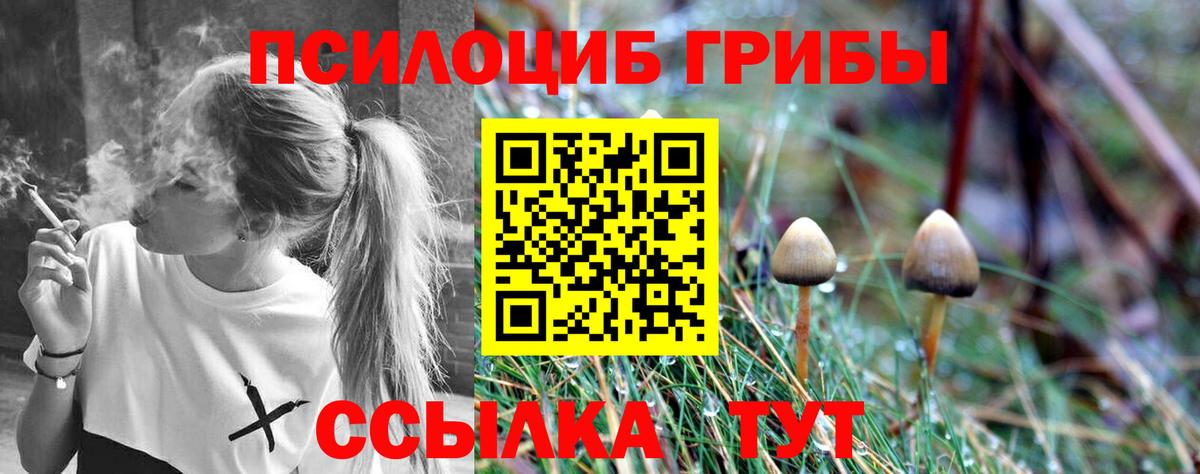 Псилоцибиновые грибы Psilocybine cubensis Лиски